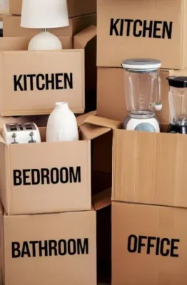 Practical Packing Tips: Essential Items and Strategies for an Organized Move